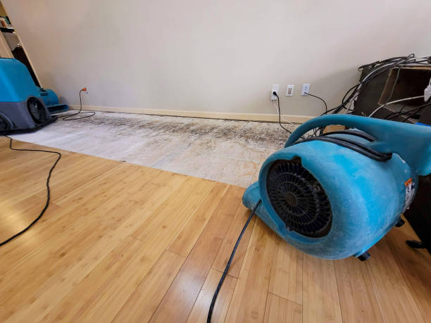 Professional Water Damage Repair technician working in Henderson, GA